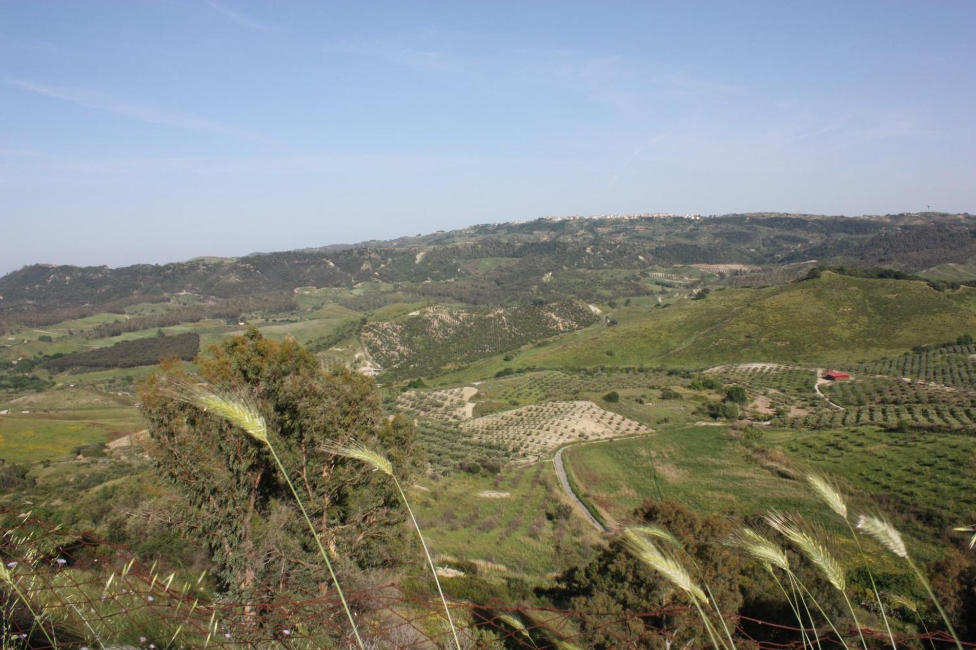 Azienda Agrituristica Biologica Il Querceto Santa Severina Ngoại thất bức ảnh