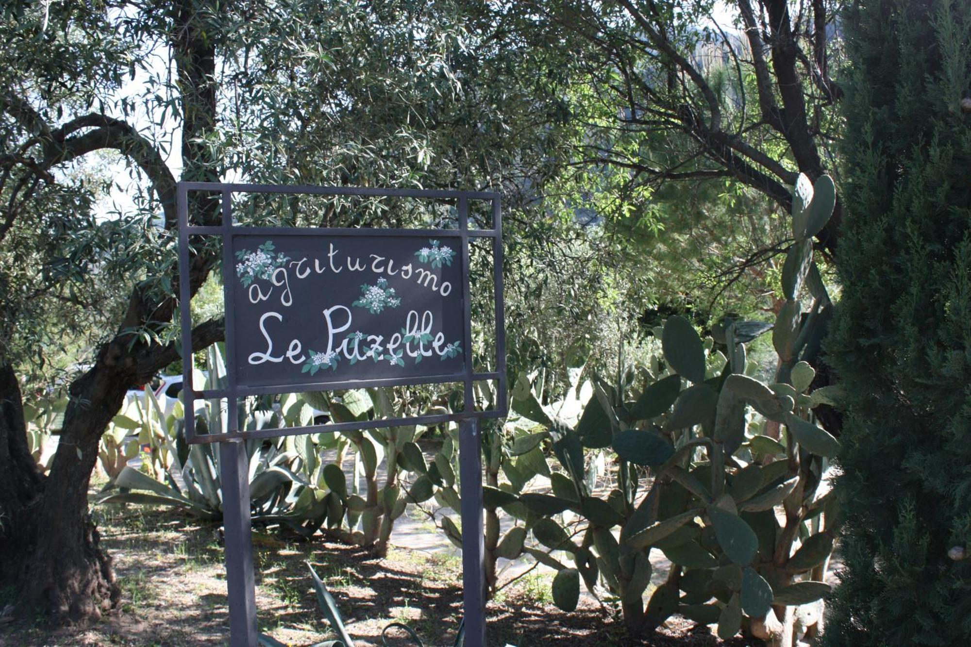 Azienda Agrituristica Biologica Il Querceto Santa Severina Ngoại thất bức ảnh