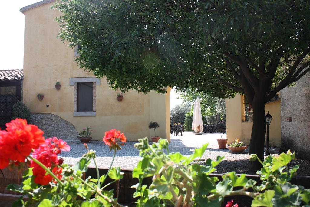 Azienda Agrituristica Biologica Il Querceto Santa Severina Ngoại thất bức ảnh