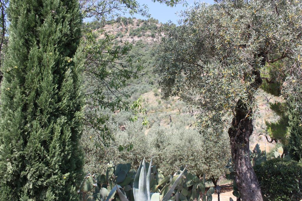 Azienda Agrituristica Biologica Il Querceto Santa Severina Ngoại thất bức ảnh