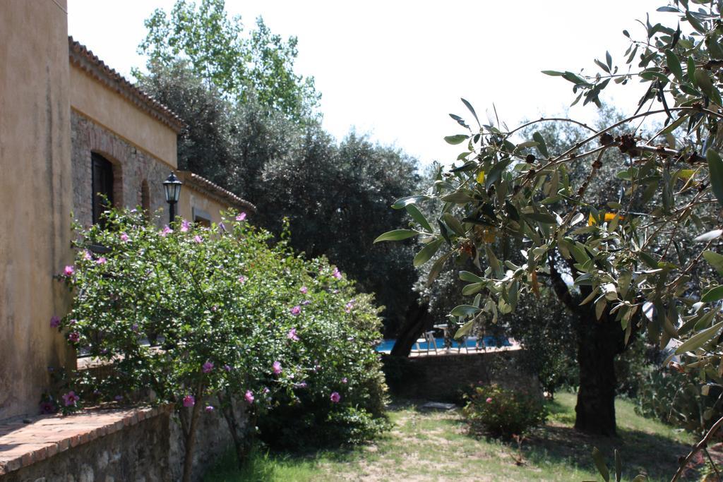 Azienda Agrituristica Biologica Il Querceto Santa Severina Ngoại thất bức ảnh