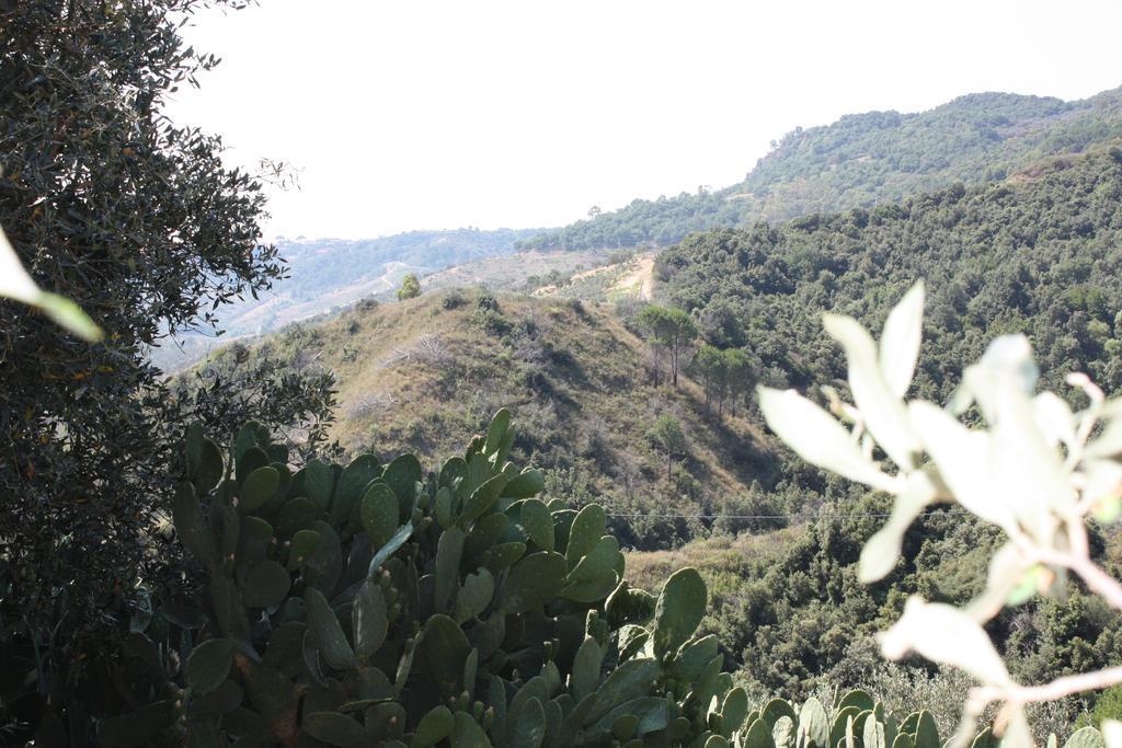 Azienda Agrituristica Biologica Il Querceto Santa Severina Ngoại thất bức ảnh