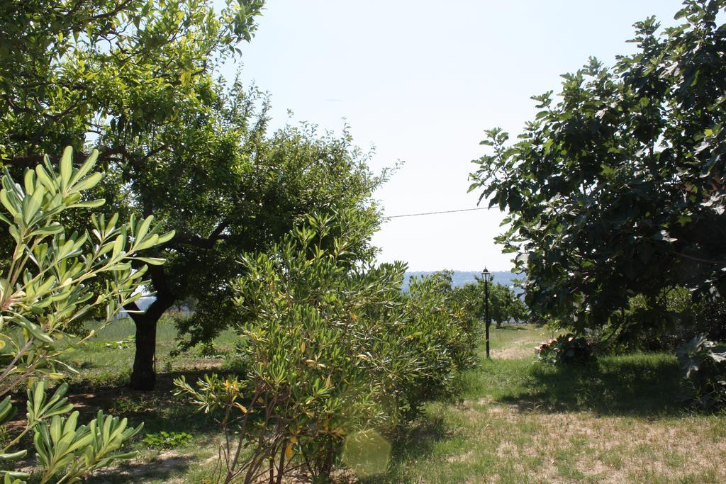 Azienda Agrituristica Biologica Il Querceto Santa Severina Ngoại thất bức ảnh