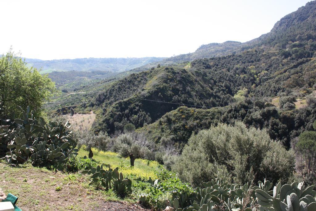 Azienda Agrituristica Biologica Il Querceto Santa Severina Ngoại thất bức ảnh
