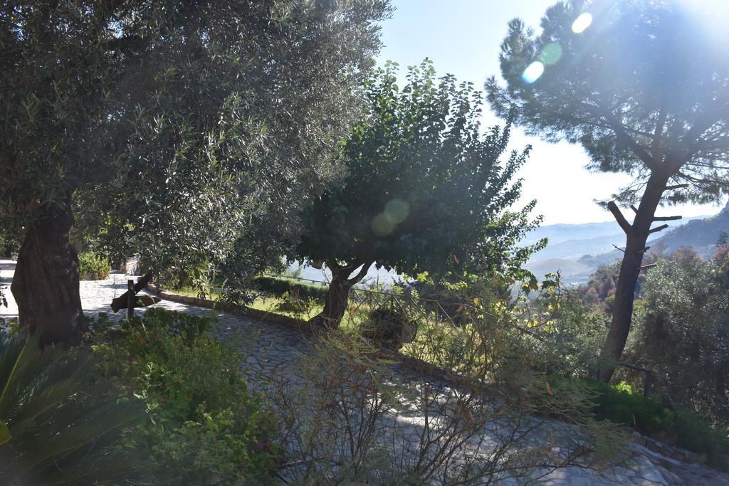 Azienda Agrituristica Biologica Il Querceto Santa Severina Ngoại thất bức ảnh