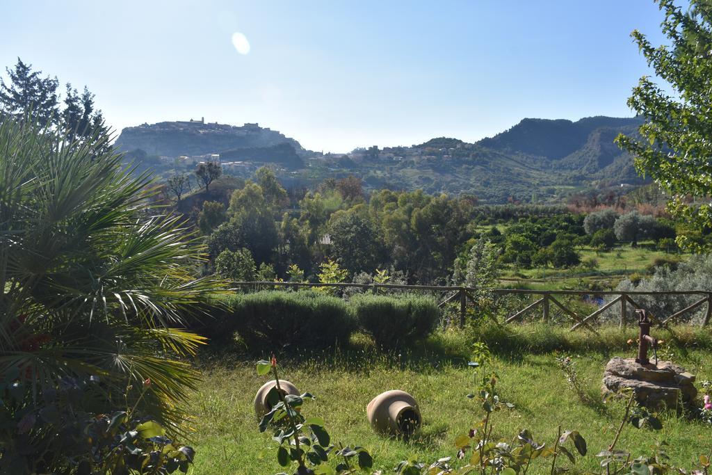 Azienda Agrituristica Biologica Il Querceto Santa Severina Ngoại thất bức ảnh
