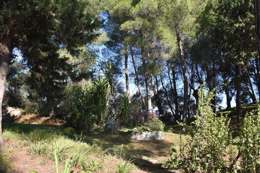 Azienda Agrituristica Biologica Il Querceto Santa Severina Ngoại thất bức ảnh